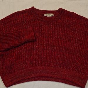 Urban Outfitters Women's Red Crewneck Cropped Long Sleeve Pullover Sweater L
